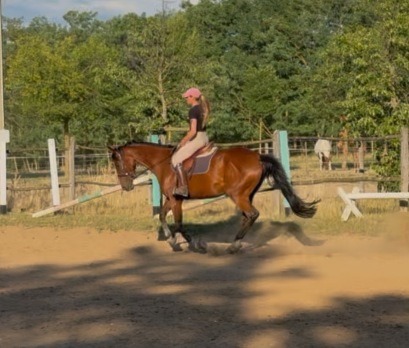 Victoria Vitae - fő fotó